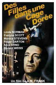 The film is a feel. Une Cage Doree 1976 Imdb