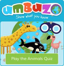 Check out your favorite animal or type of animal below to learn more about them. Animals Of China For Kids