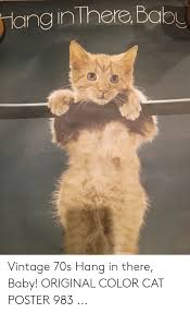 Hangintherebabu Vintage 70s Hang In There Baby Original Color Cat Poster 983 Baby Meme On Me Me