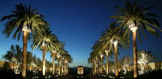 Outdoor Low Voltage Led Landscape Lighting Fixtures By Unique Lighting Systems Landscape Landscape Lighting Outdoor Landscape Lighting Led Landscape Lighting