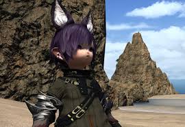 誰が為のエオルゼア Ff14初心者講習 ロットルールの基本解説 Ptでの応用