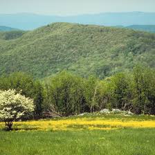 The park is over 100 miles long and spans a wide elevation range. Camping At Shenandoah River State Park Getaway Usa