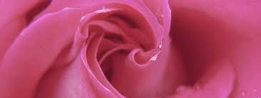 Obituary Carolyn Sue Houseworth Bittiker Funeral Homes Llc