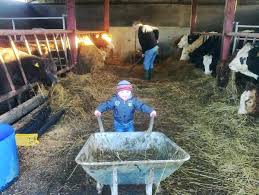 Photo of the Week Monday 16 December