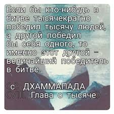 книга синий и желтый не дают зеленый читать онлайн Citaty Mudrost Mudrecy Dhammapada Ezoterika Samopoznanie Dusha Duhovnyj Rost Pobeda Person Personalized Items