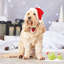 Cute funny dog in santa hat sitting near fir tree in park. Pets At Home Christmas Santa Hat For Cats And Dogs Red Pets At Home