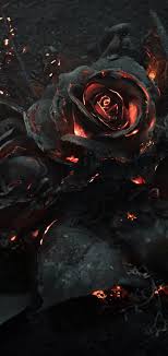 We offer an extraordinary number of hd images that will instantly freshen up your smartphone or computer. Flowers Burned Background 4k Wallpaper 22