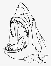 Add fish and water circles. Shark Simple Drawing At Free For Personal Use Png Shark Draw A Shark Head Png Image Transparent Png Free Download On Seekpng