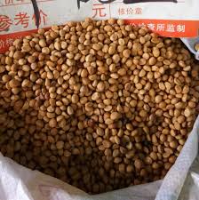 Image result for Ipomoea turbinata