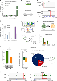 100% safe and virus free. Functional Role Of Tet Mediated Rna Hydroxymethylcytosine In Mouse Es Cells And During Differentiation Nature Communications