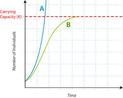 Population Growth Limits Read Biology Ck 12 Foundation