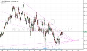 Pets Stock Price And Chart Lse Pets Tradingview Uk