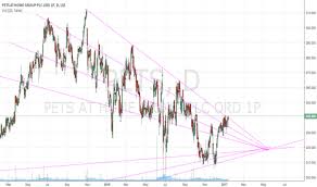 pets stock price and chart lse pets tradingview uk