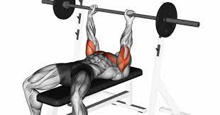 Close-Grip Bench Press Guide — Form, Hand Placement, Alternatives, and More