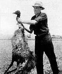 Australia is a beautiful place, to be sure. Emu War Wikipedia
