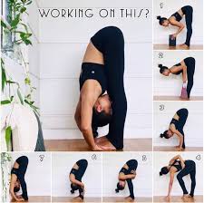 Padahastasana Hand Under Foot Pose Yoga Poses Advanced Yoga Progress Yoga Poses