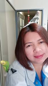 Good morning from the parrots sharing tea