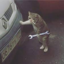 Pin On Animalmemes