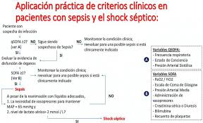 We did not find results for: Slideshow Definicion De Sepsis