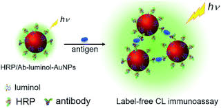 When chemically treated, blood can also fluoresce. Luminol Horseradish Peroxidase And Antibody Ternary Codified Gold Nanoparticles For A Label Free Homogenous Chemiluminescent Immunoassay Analytical Methods Rsc Publishing