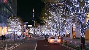 Image result for Christmas lights display at Tokyo Japan