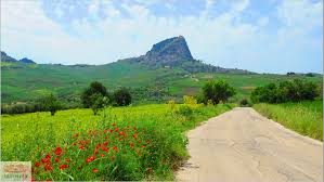 Image result for Sutera debilis