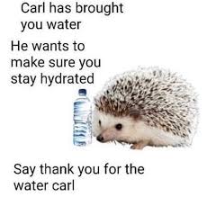 Check spelling or type a new query. Say Thank You Carl Memes