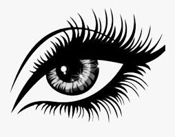 transparent eye clipart eyelash clipart black and white free transparent clipart clipartkey transparent eye clipart eyelash