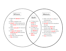 Mitosis Meiosis Both