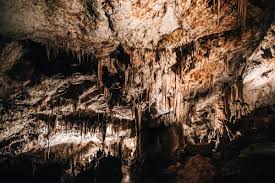 Hohlen Von Postojna Hohlenburg Predjama Erfahrungsbericht Und Tipps Sommertage
