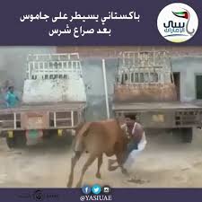 Pin Pa ياسي الامارات