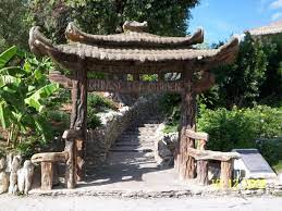 San Antonio Japanese Tea Garden San Antonio Japanese Tea Garden Japanese Tea Garden Tea Garden