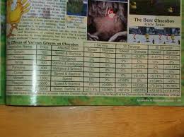 Check spelling or type a new query. Chocobo Race Question Final Fantasy Vii Forum Neoseeker Forums