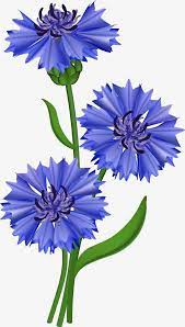 Pin On Floral Spray