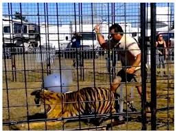 A message from kay rosaire & the big cat habitat. Big Cat Habitat Gulf Coast Sanctuary Kay Rosaire Clayton Rosaire 911 Animal Abuse