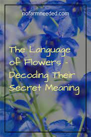The Language Of Flowers Decoding Their Secret Meaning Fun Facts In 2021 How To Preserve Flowers Language Of Flowers Flowers