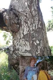 From wikimedia commons, the free media repository. Prairiefans Com Your Complete Guide For Everything Related To Laura Ingalls Wilder S Little House On The Prai Little House Big Sky Ranch Laura Ingalls Wilder