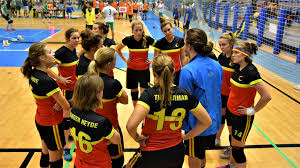For location service, see dodgeball (service). Dodgeball Belgium Home Facebook