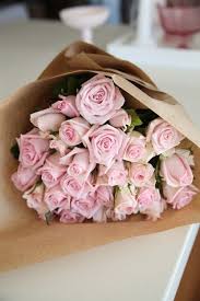 Pinterest kostenlos auf ihr gerät. My Favorite Flower Light Pink Rose Pink Roses Flowers
