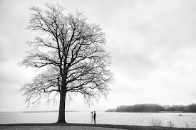 Hochzeitsfotograf Seewarte Schwerin Hochzeitsfotograf Fotograf Hochzeit
