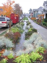 Vegetated Drainage System By Svr Design Company Www Landarchs Com Rain Garden Design Landscape Design Rain Garden
