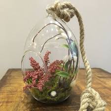 Terrario De Aire Planta Colgante Etsy Hanging Air Plants Air Plant Terrarium Terrarium