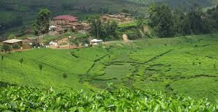 Less than a decade after the end of the civil war, burundi remains one of the world's poorest since 1995, we have supported the process of peace and reconciliation in burundi, building the capacity of. Burundi Countries Site