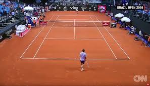 Choosing beggar wants to borrow a car, thinks tesla and bmw are beneath him. Shelter Dogs Serve As Ball Boys At Brazil Tennis Open Bored Panda