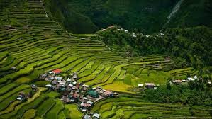 Kumpulan a terdiri daripada tuan rumah pertama filipina, thailand, singapura dan … Wisatafilipina Menikmati Keindahan Bentang Alam Buatan Manusia Di Filipina