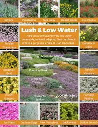 The Secret To A Low Maintenance Low Water Landscape Is To Use Spreading Perennial Low Water Landscaping Low Maintenance Plants Landscaping Low Water Gardening