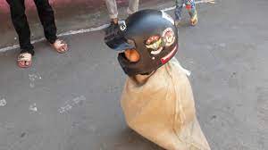 40 Gambar Lucu Anak Kecil Pake Helm Serbameme