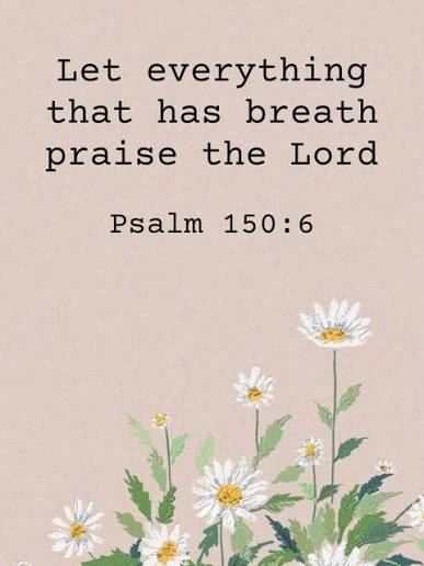 Praise the Lord! He is worthy of all our praise. 🙌🏼👏🏼