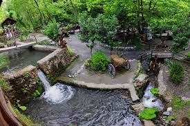 Sapanca i̇stanbul otobüs bileti alabileceğiniz; Sapanca And Masukiye Trip From Istanbul 2021 Turkey