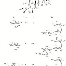 Image result for Eriocoelum microspermum